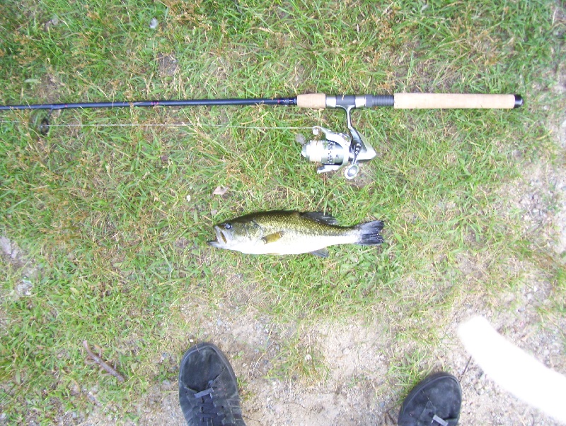 8/22/08 - Dudley Pond - Wayland, MA