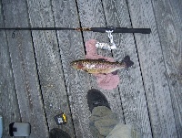 10-2-08 - Lake Cochtituate Boat Ramp