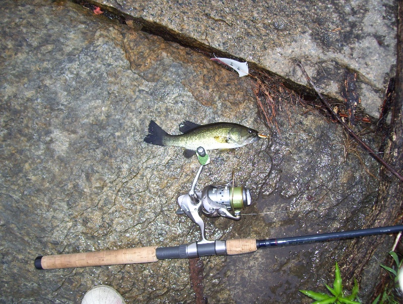 7/31/09 - Sudbury Reservoir