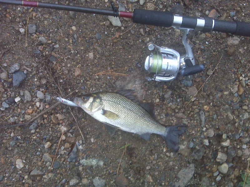 9/30/10 - Sudbury Reservoir