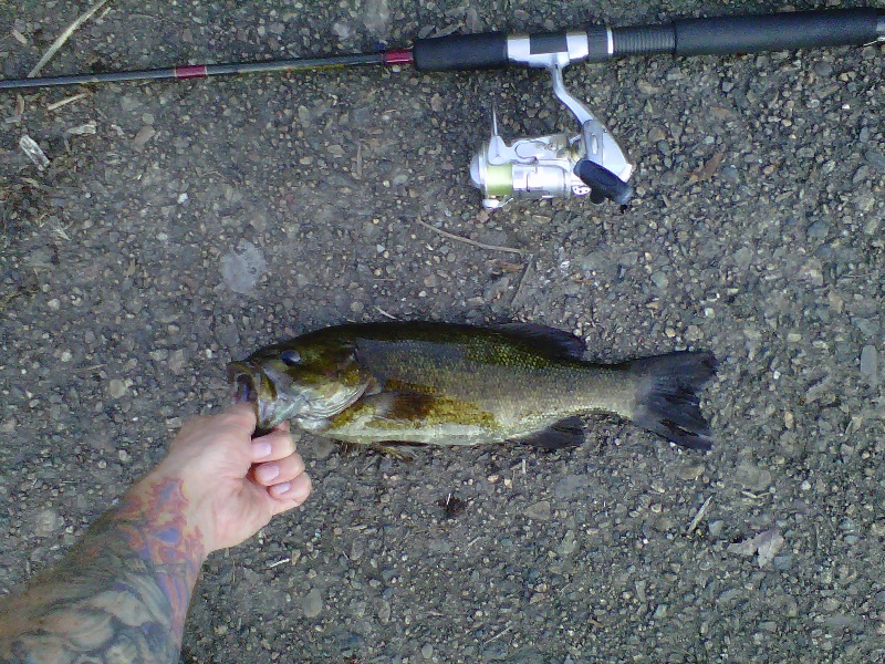 Same Smallie - Nice little chunk