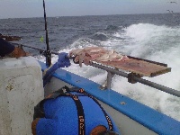 9/5/11 - Captain's Fishing Parties Marathon Charter - Newburyport, MA Fishing Report