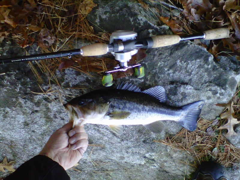 My 1lb 7oz Largemouth