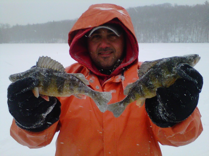 Vinny With Our Perch