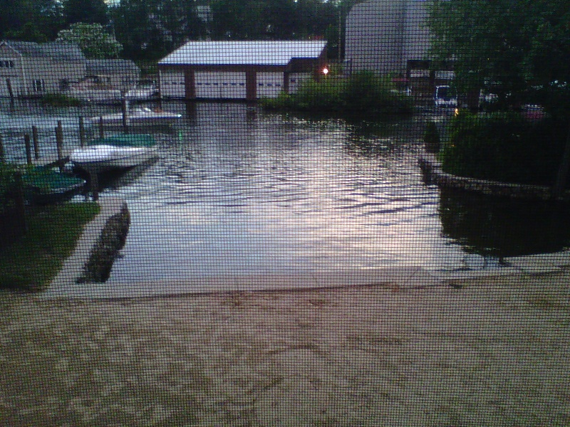 View From the Cottage