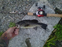 7/26/12 - Norton Reservoir Fishing Report