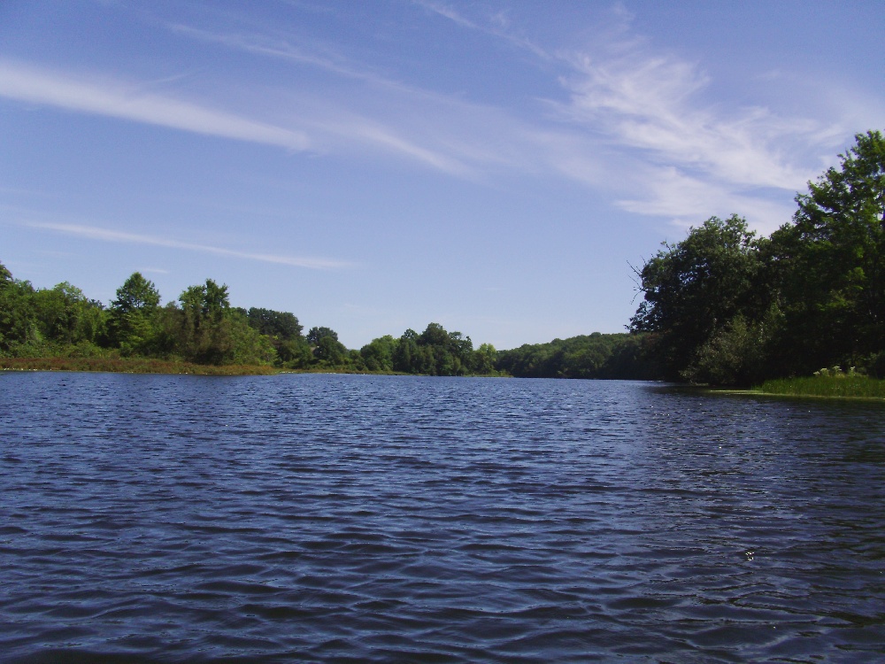 Northampton fishing photo 4