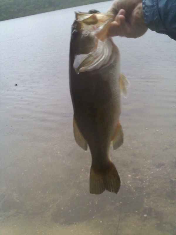 Hathaway Pond 3lb 10oz