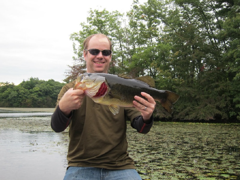 September Frog Fish, 4 lb 12oz