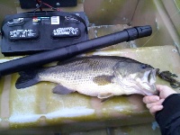 Hardy Pond 4-20-2011 Fishing Report