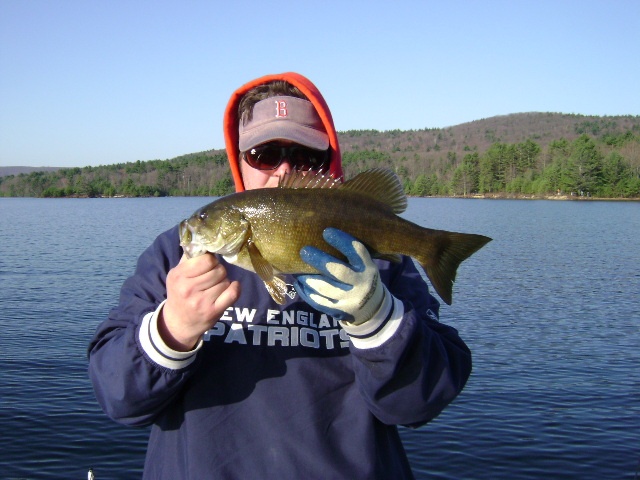 Smallmouth near Shutesbury