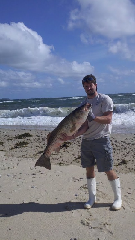 Cape Cod Canal Striped Bass