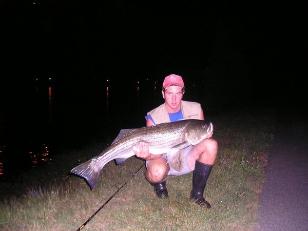 Night Fishing the Cape Cod Canal for Monstrous Striped Bass