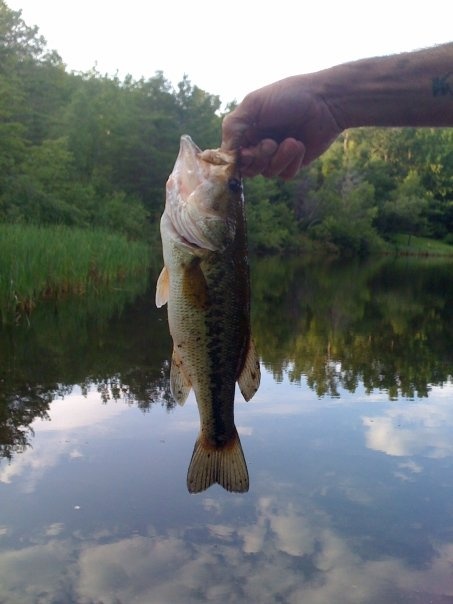 Nottingham Lake near Middlefield