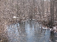 Morning at Whalom Lake