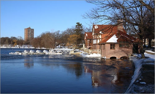 Jamaica pond