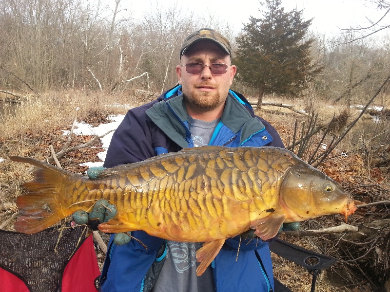 mirror carp