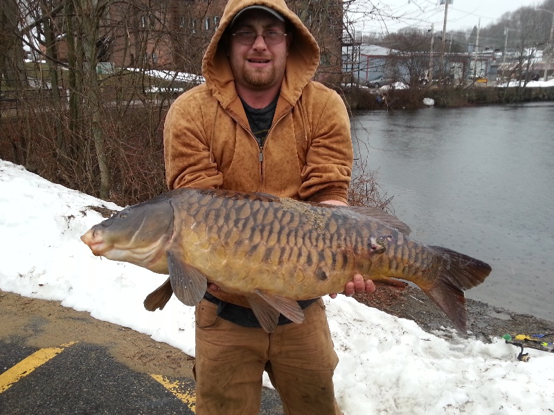 32# mirror carp 3/12/13