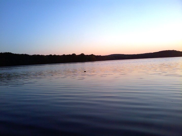 stump pond