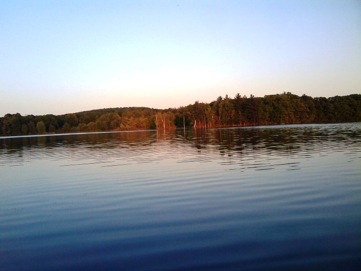 stump pond