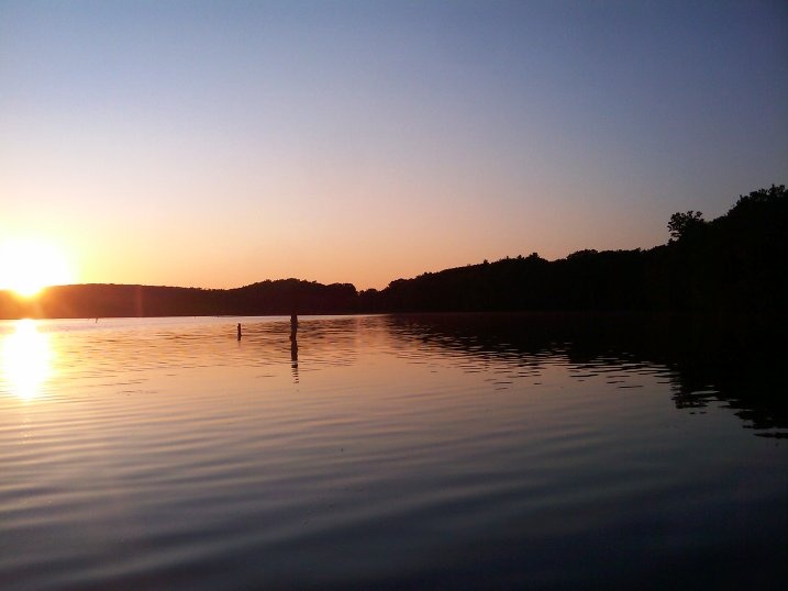 stump pond