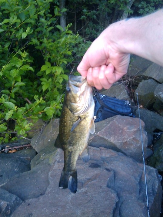 Natick fishing photo 2