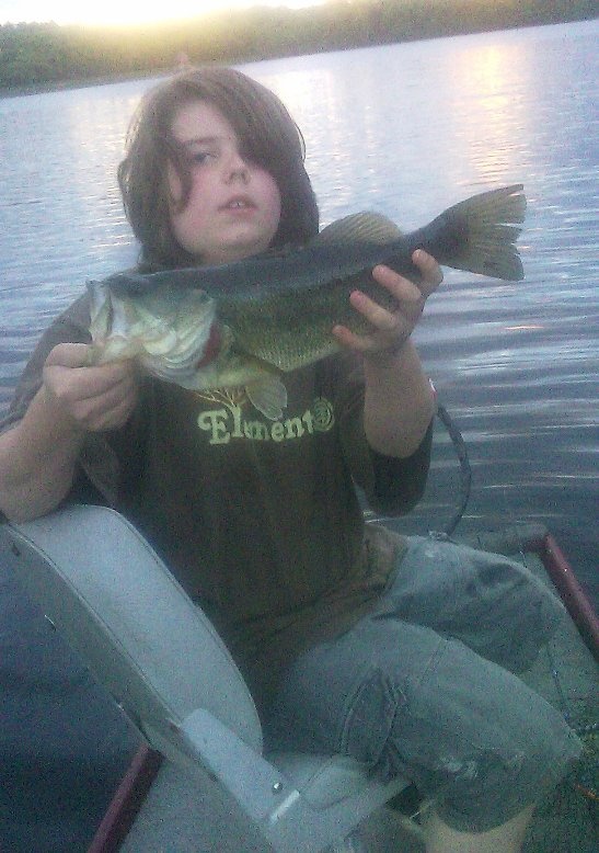 largemouth bass