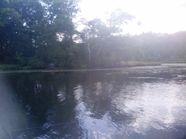 Holliston fishing photo 3