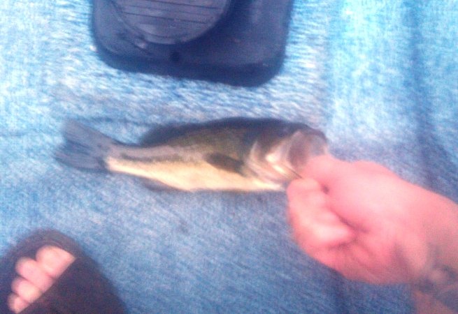 small bass near Groton