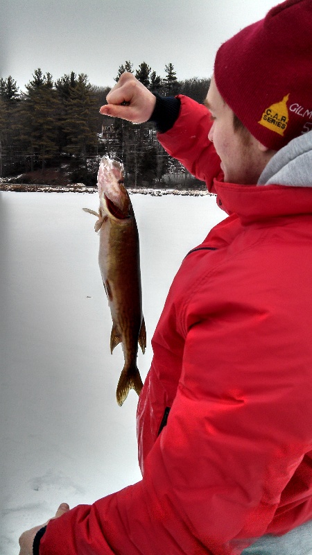 Bigger Pickerel