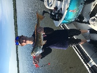 Redfish Fishing New Symerna Beach