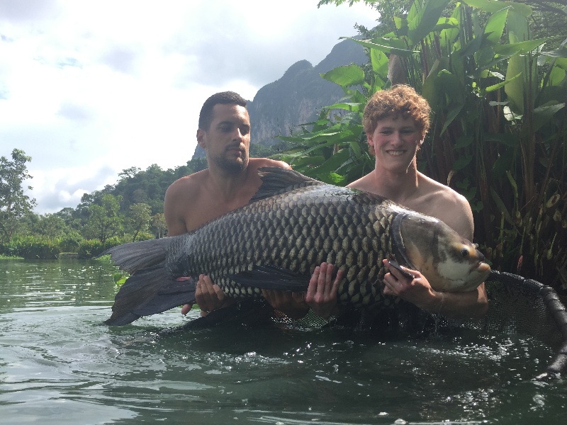 95lb Siamese Carp