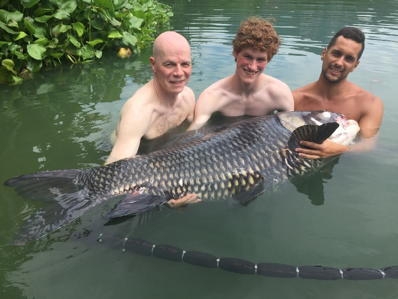 Monster 178lb Siamese Carp