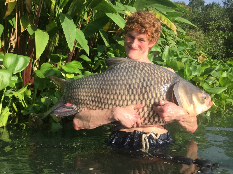 30lb Siamese Carp