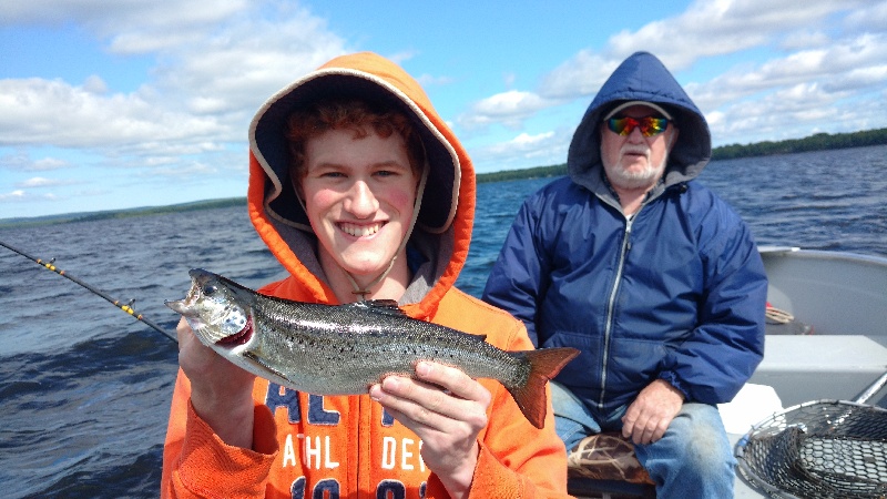 Nice Square Lake Salmon