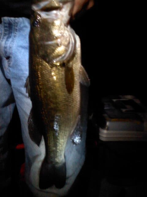 5-6lber