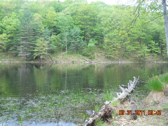 Leverett fishing photo 0