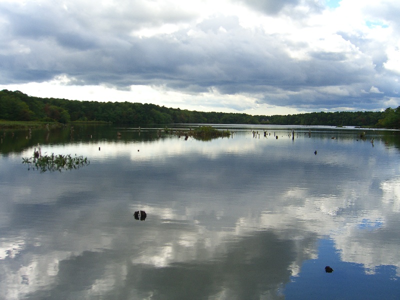 West Reservior Harwich Ma.