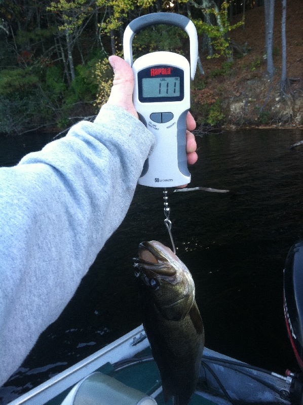 Bass Fishing