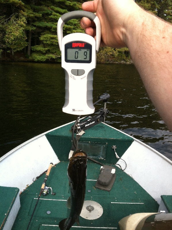 Largemouth near Ashland