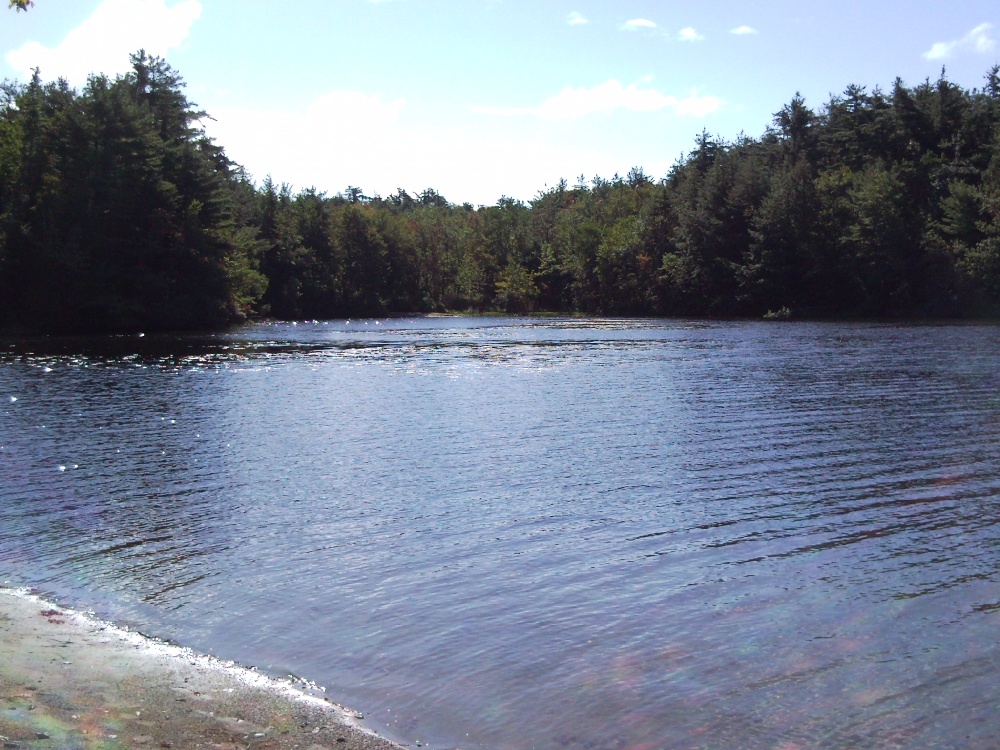 One of many shore spots to fish on the campground near Goshen