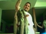 Cats Fishing Report