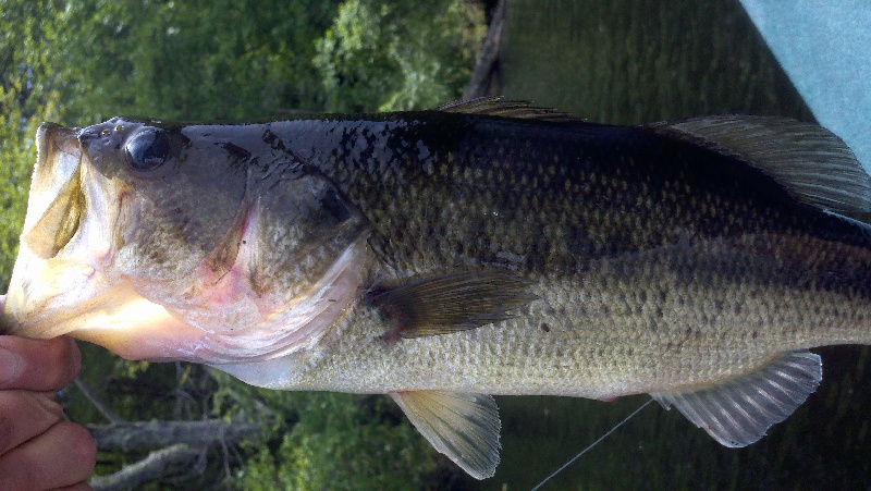 Hampden fishing photo 2