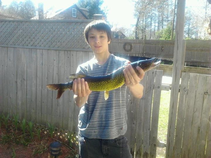 biggest pickerel