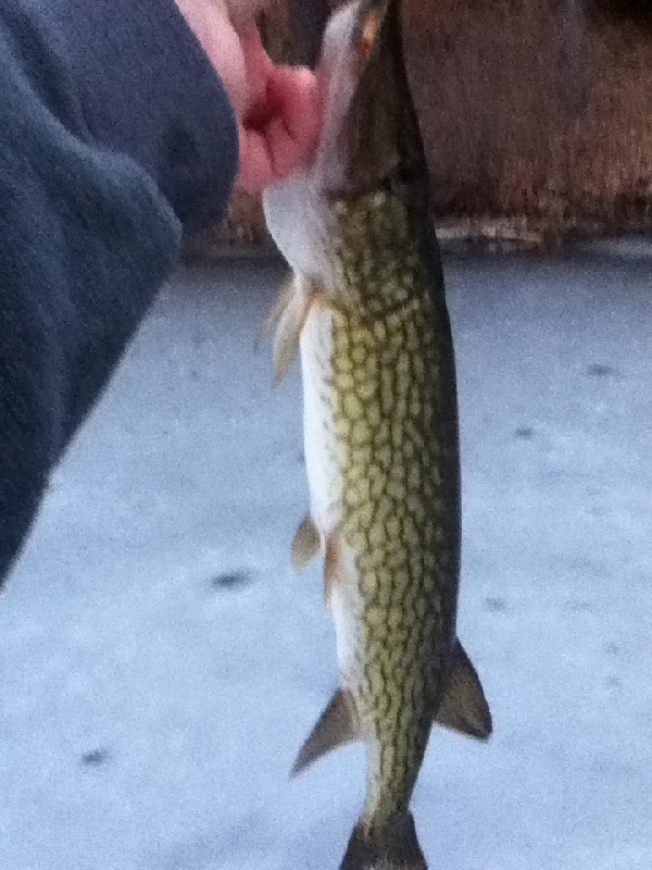 ice fishing