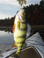 Wheaton Farm pond