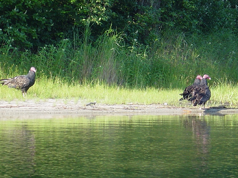 Brewster fishing photo 2