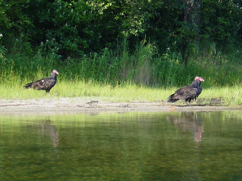 Brewster fishing photo 3