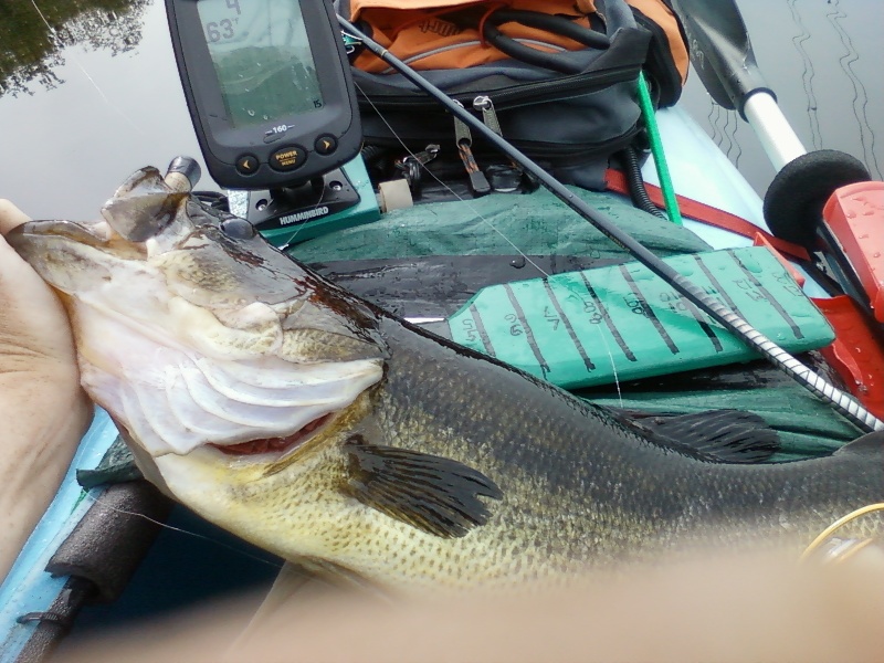 Fishing near East Bridgewater in Plymouth County, Massachusetts