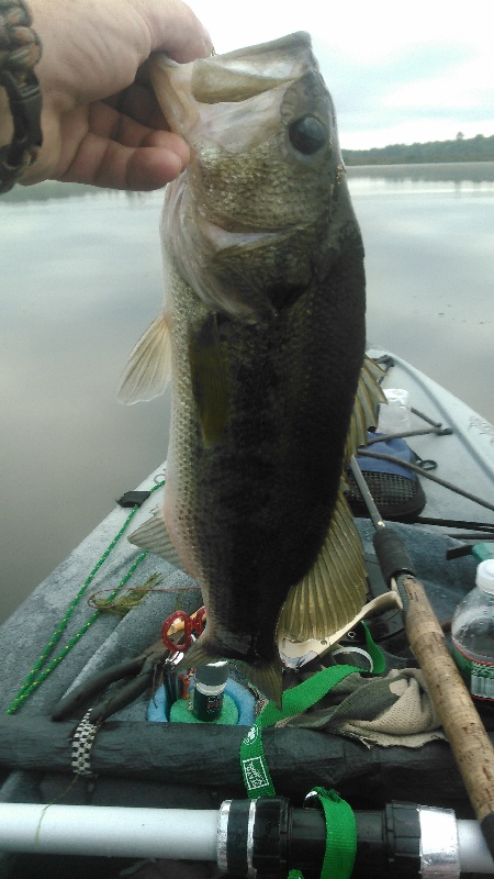 West Bridgewater fishing photo 5